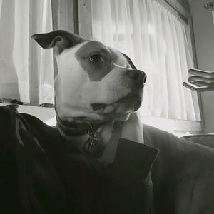 Meet your Posher, Ali